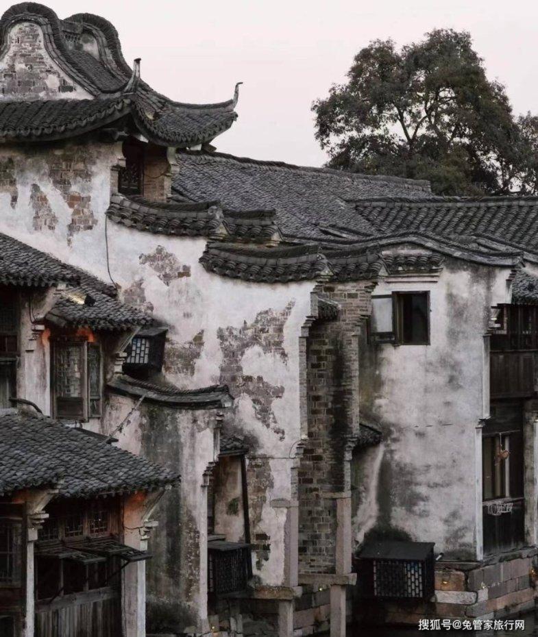 寻找萌小老虎